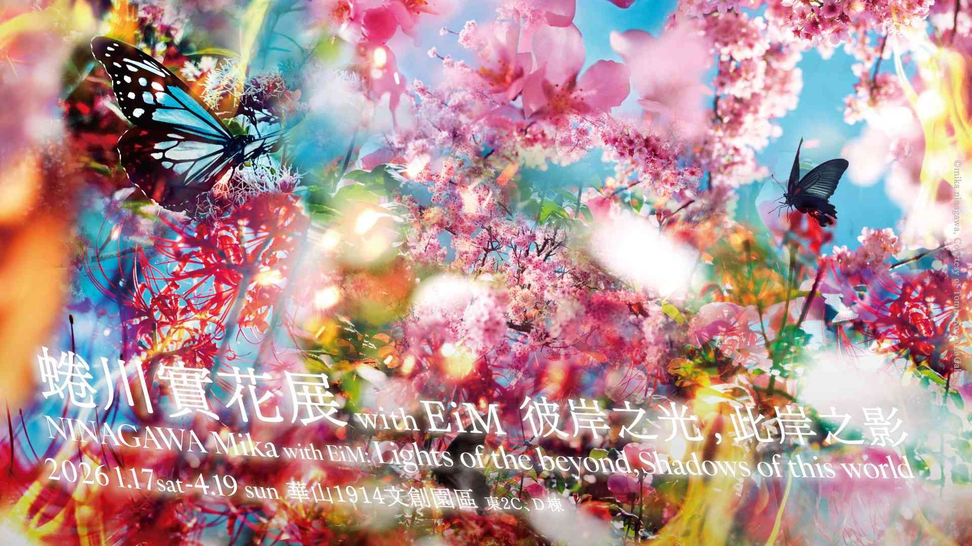 《蜷川實花展with EiM：彼岸之光，此岸之影》展覽主視覺